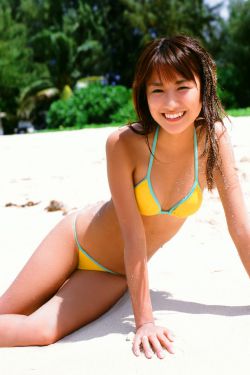 正阳门下小女人电视剧免费观看完整版