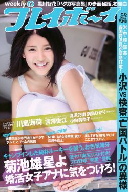 白狼电视剧免费观看
