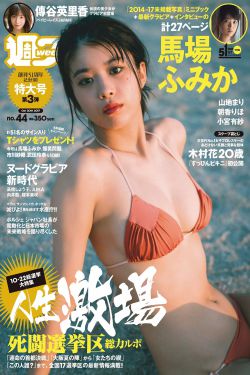电影四大名捕