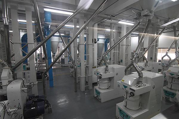 影響加工出來大米質(zhì)量原因開封大米加工設備廠家(圖1)